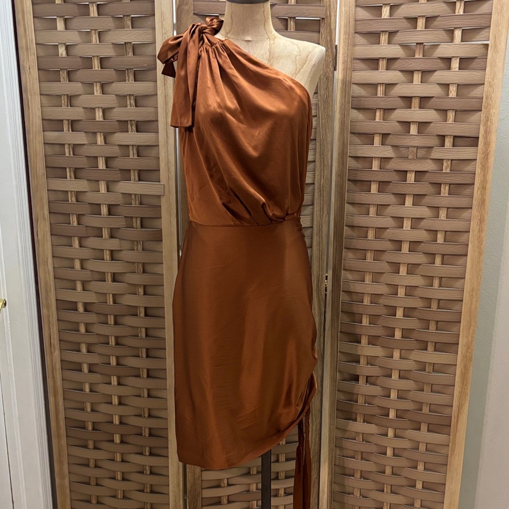 Retrofête Nadia One-Shoulder Stretch-Silk Mini Dress
